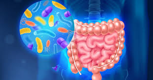 Disbiosi: squilibrio del microbiota