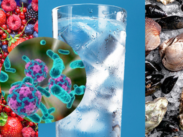 Epatite a trasmissione oro-fecale: HAV, HEV