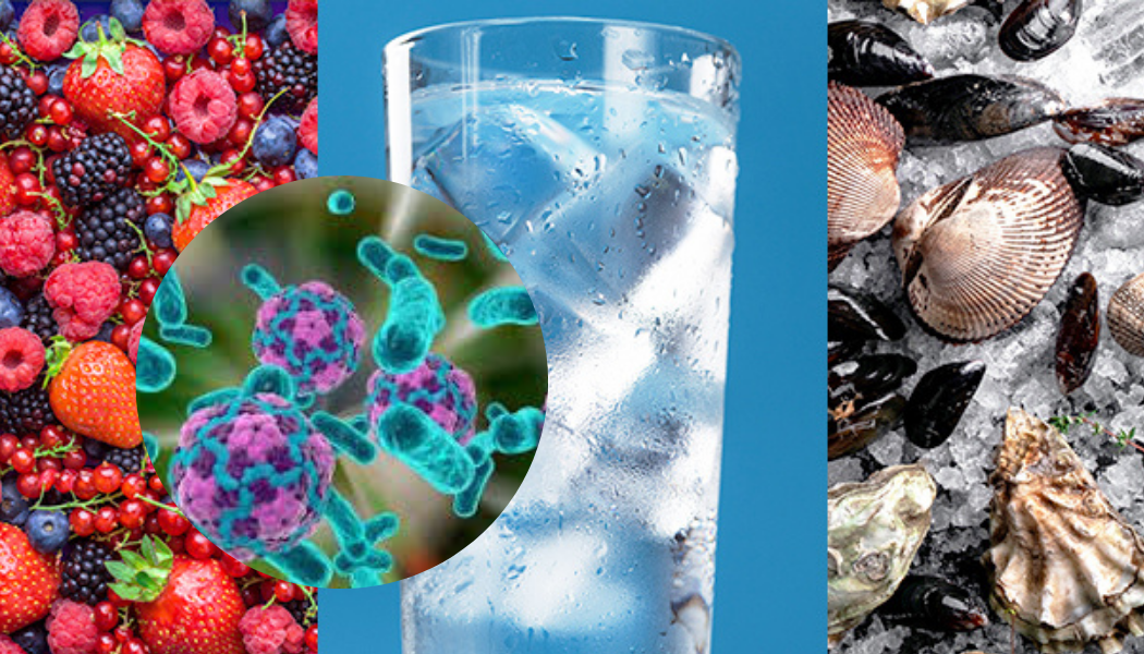 Epatite a trasmissione oro-fecale: HAV, HEV